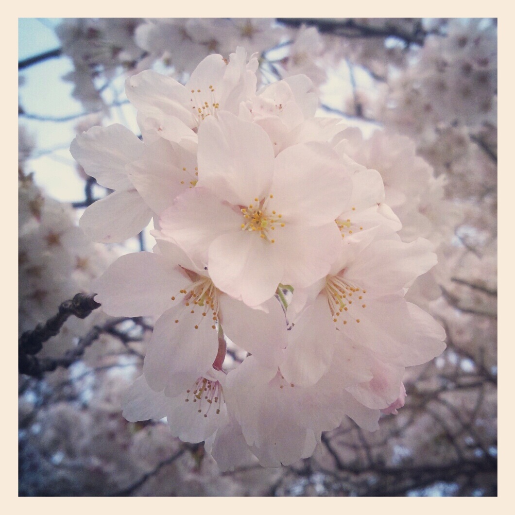 @�E��̋߂��̌���