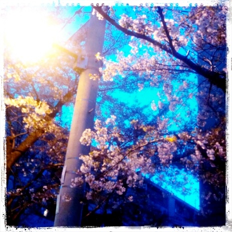 @�n���̉w�O